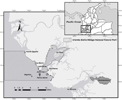 Whale-Watching Management: Assessment of Sustainable Governance in Uramba Bahía Málaga National Natural Park, Valle del Cauca